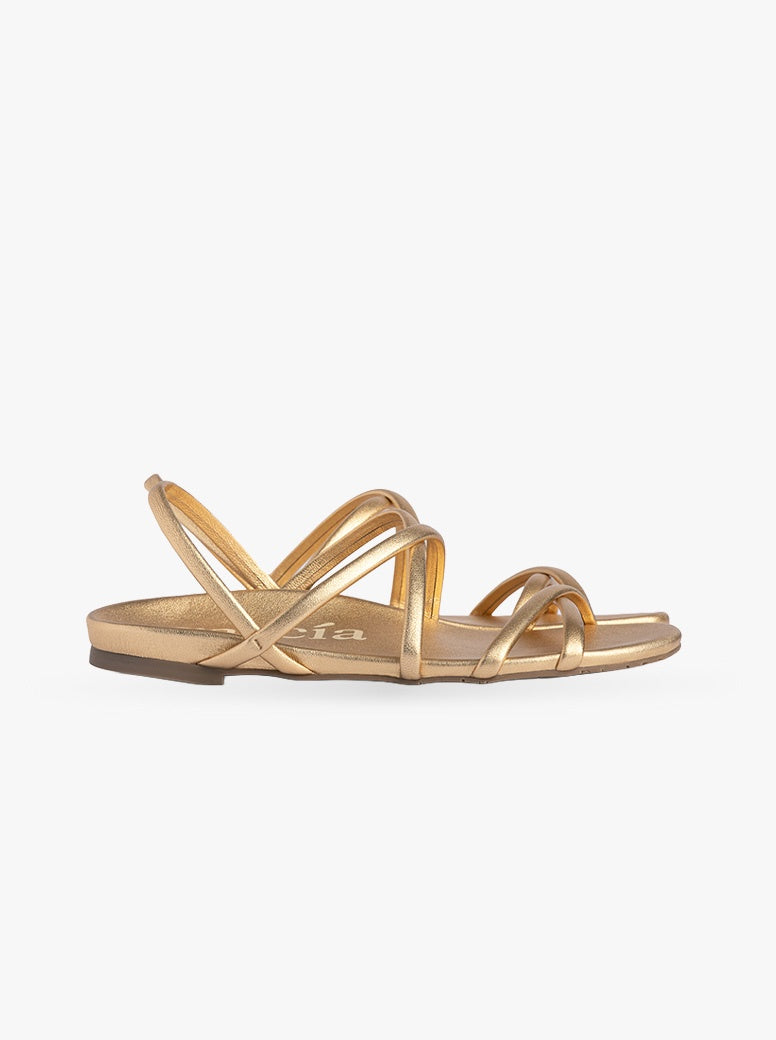 Biddy gold