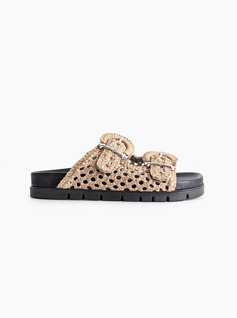 Caiman taupe
