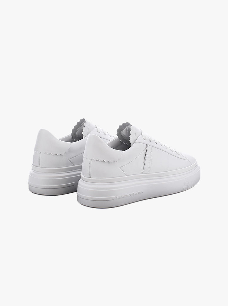 Dive white