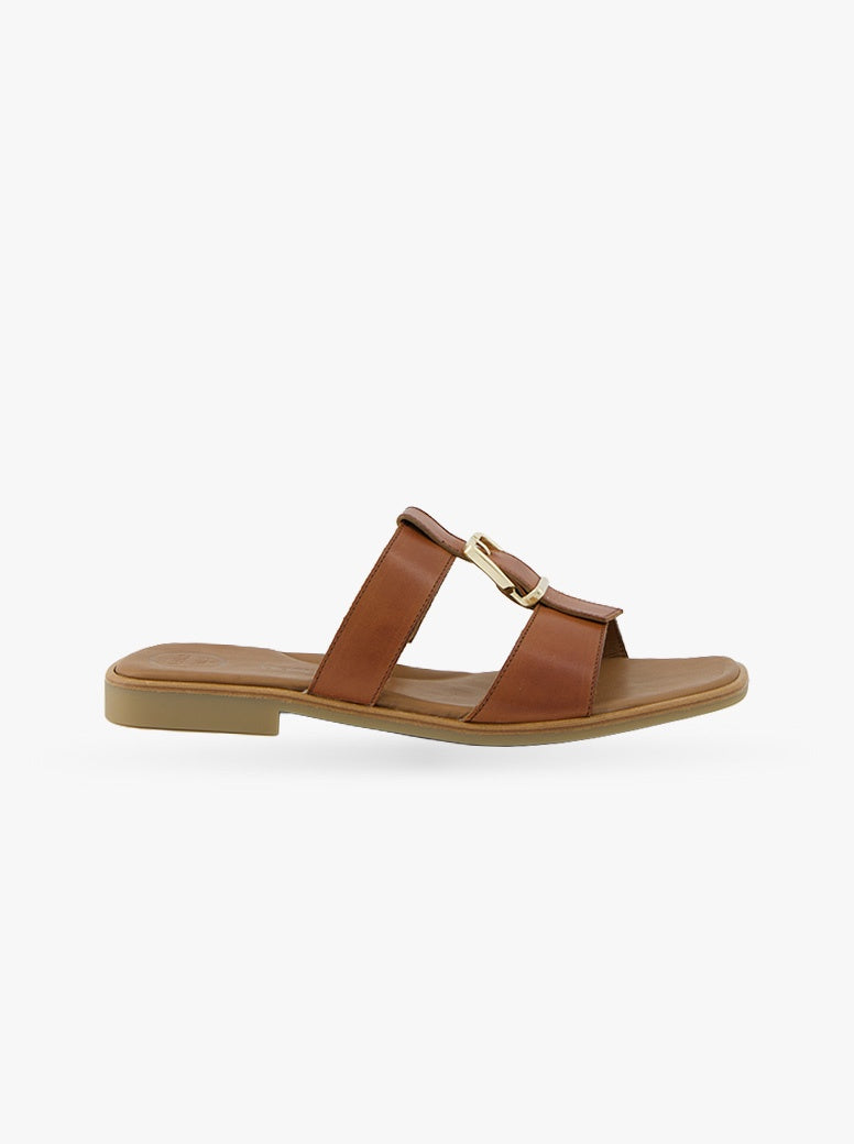 Haven tan