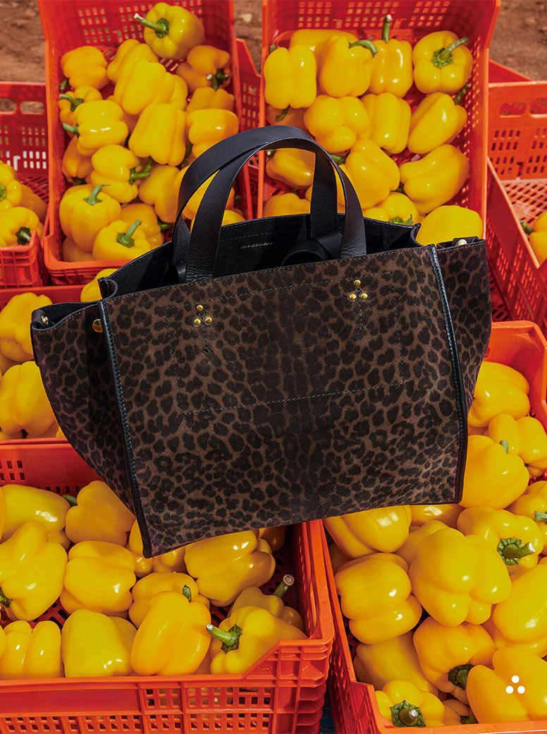 Leon Medium leopard