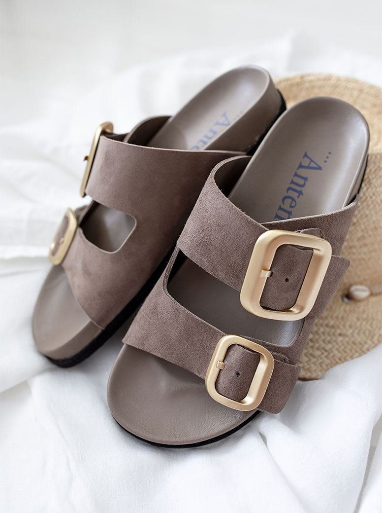 Shari taupe suede