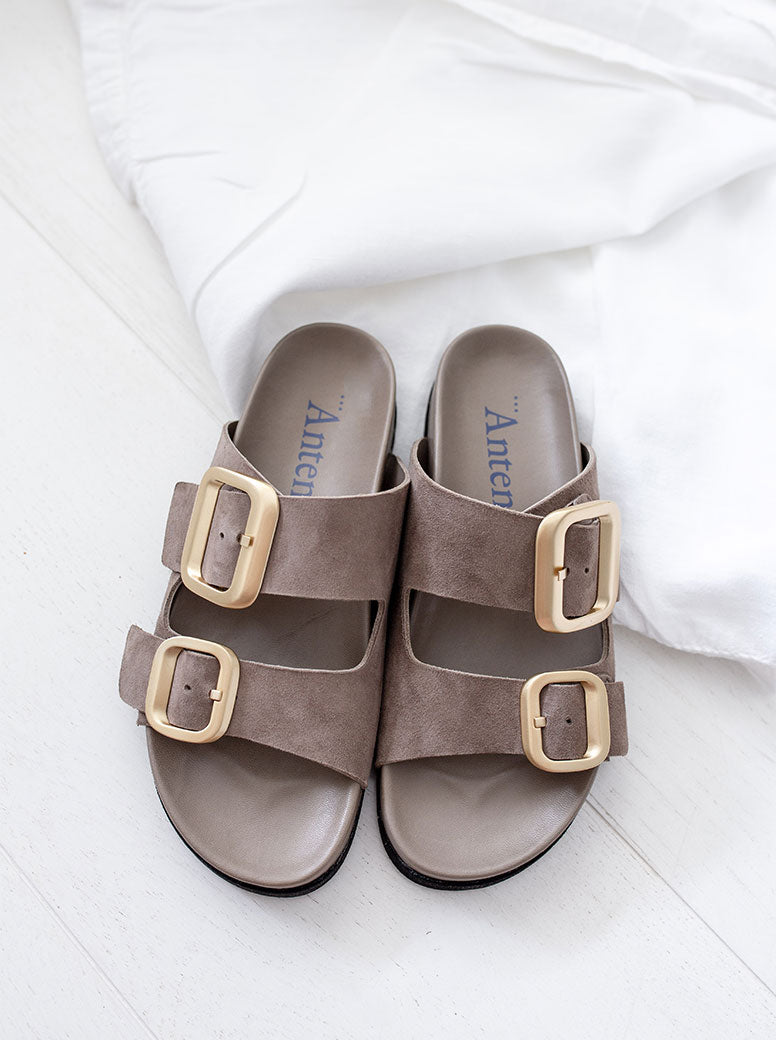 Shari taupe suede