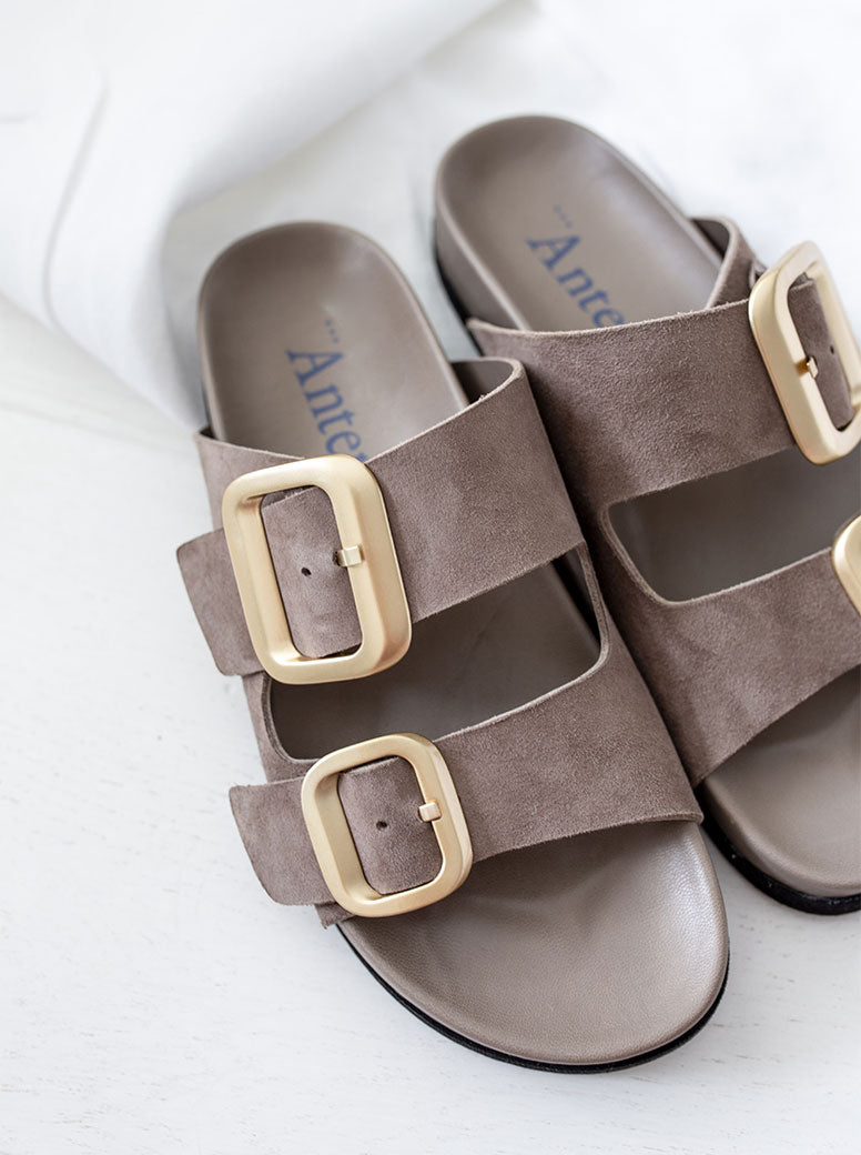 Shari taupe suede