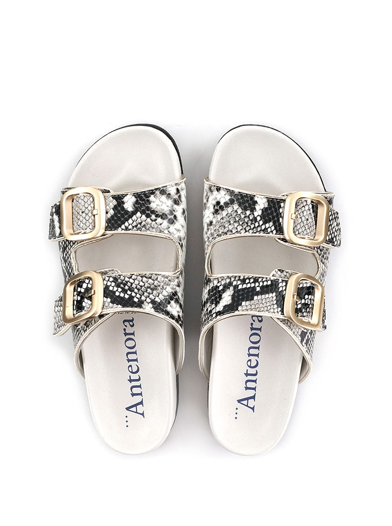 Tonic white multi