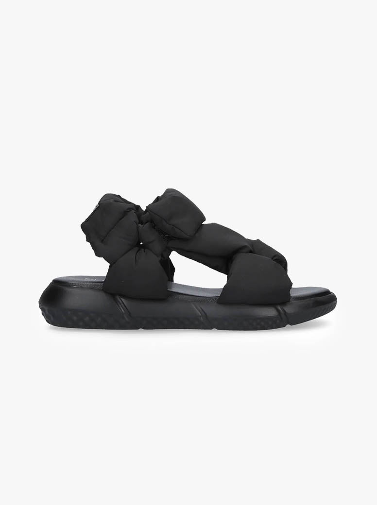 Tulip black