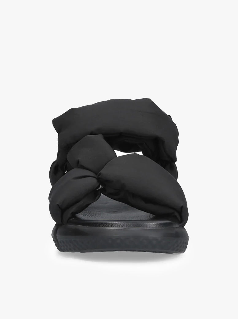Tulip black