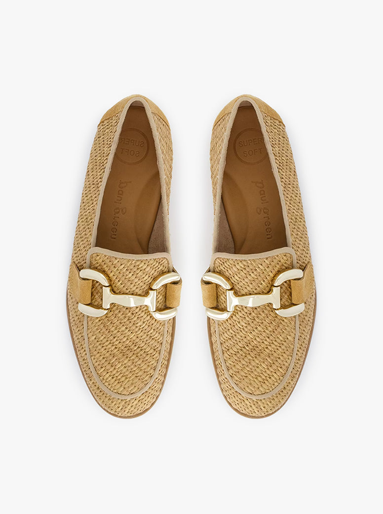 Zahara camel