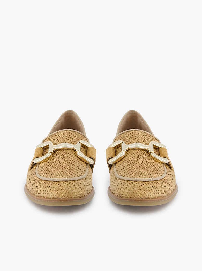 Zahara camel