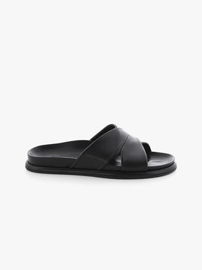 Aily black