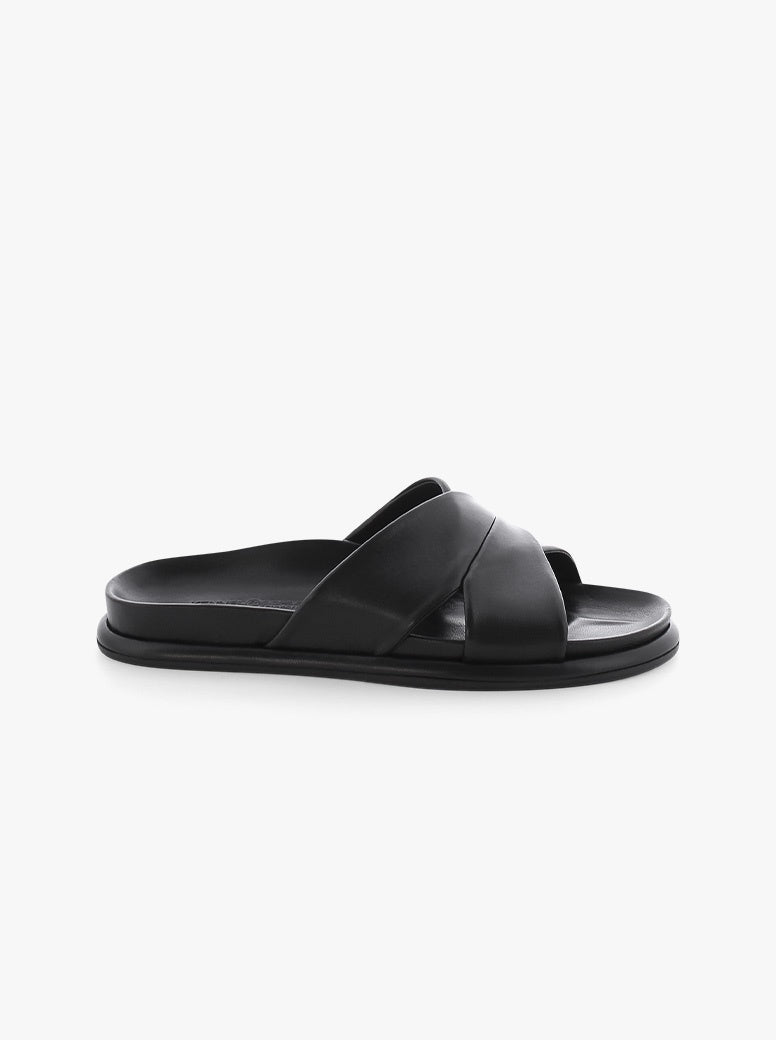 Aily black