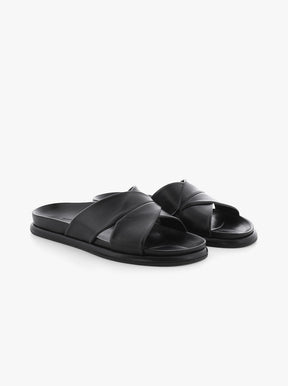 Aily black