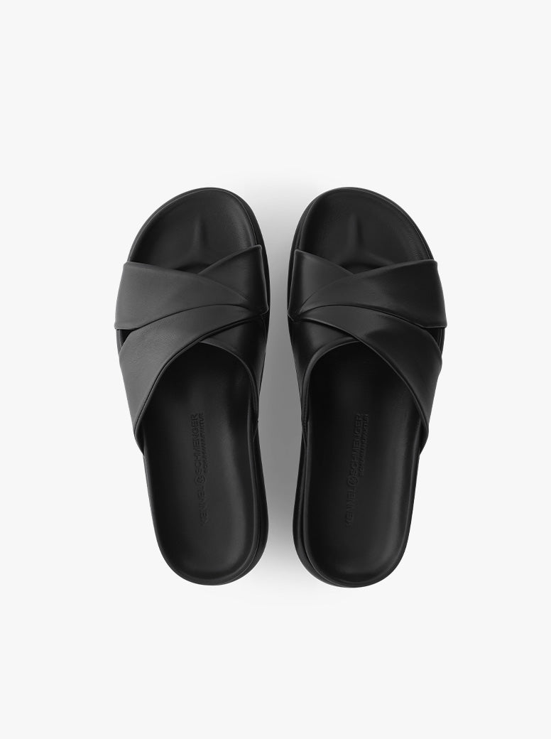 Aily black