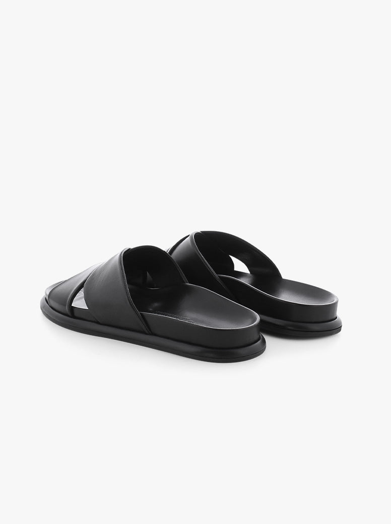 Aily black