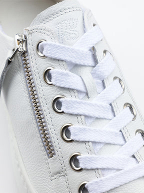 Arena white