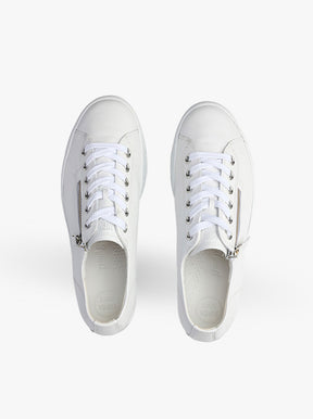 Arena white