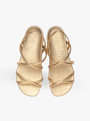Biddy gold