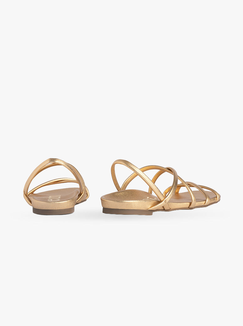 Biddy gold