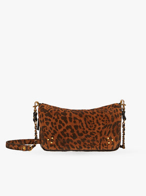Bobi Small chat sauvage