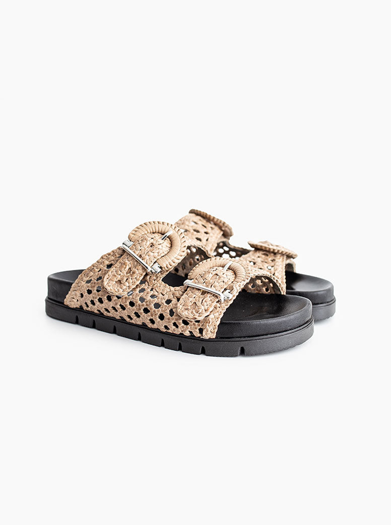 Caiman taupe