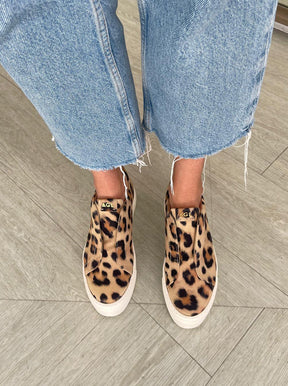 Clementina leopard