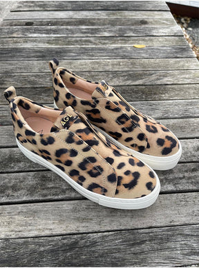 Clementina leopard