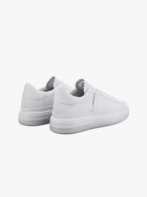 Dive white
