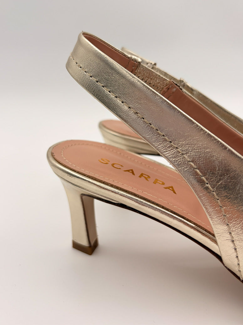 Dolce gold