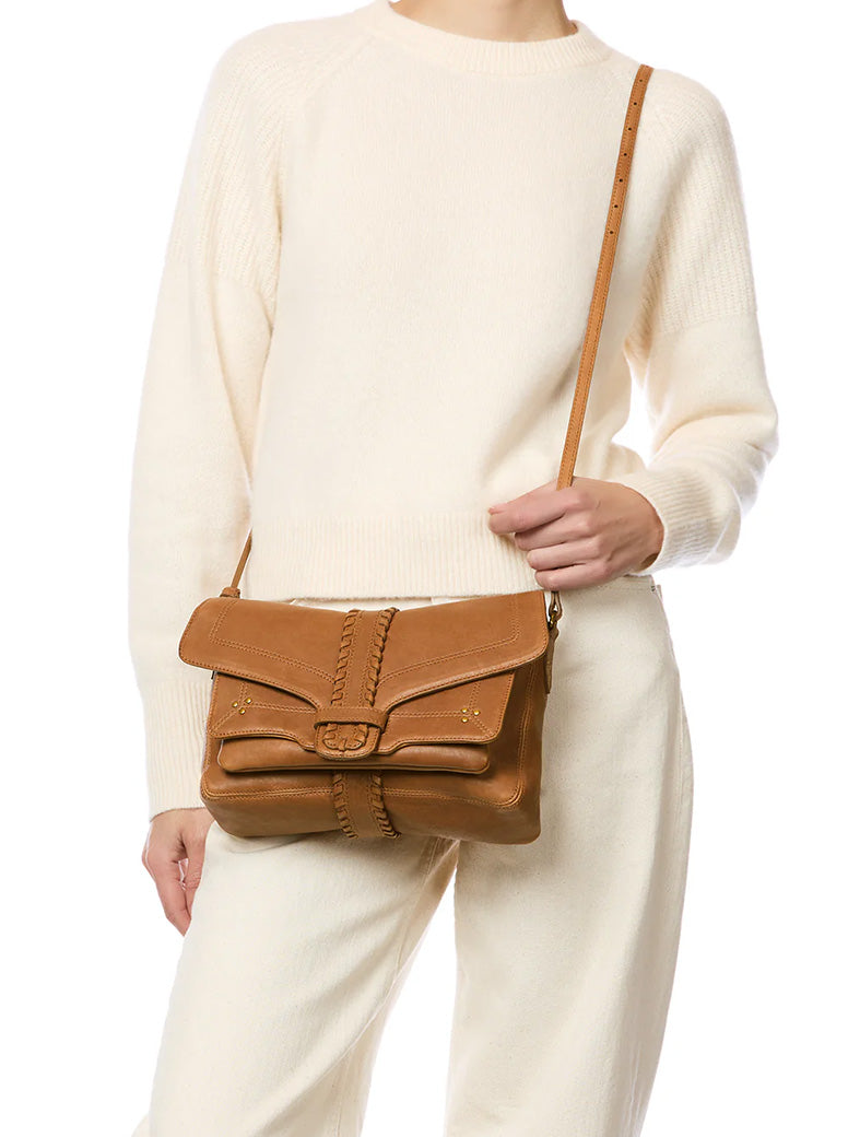 Harry M camel