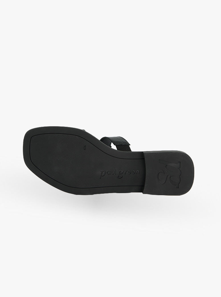 Haven black