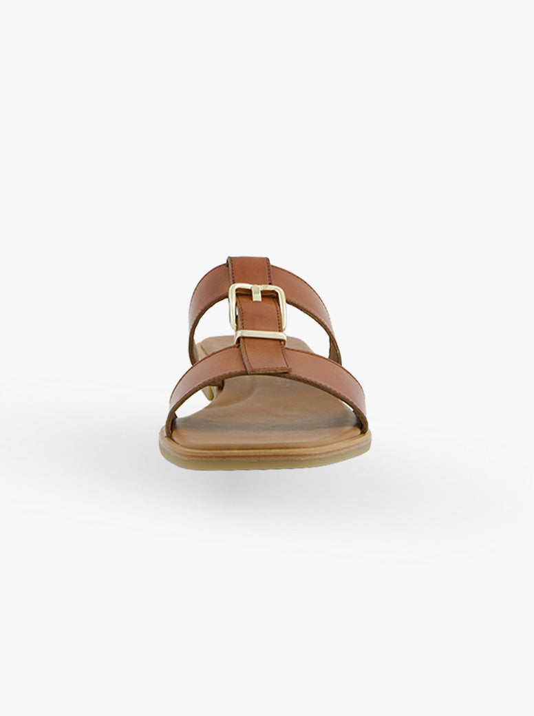 Haven tan