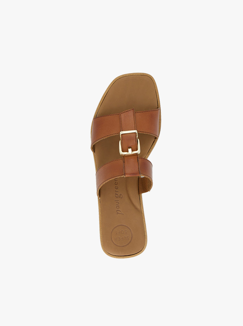 Haven tan