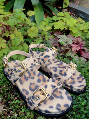 Cristina leopard