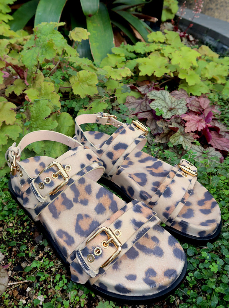 Cristina leopard