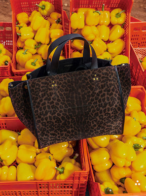 Leon Medium leopard