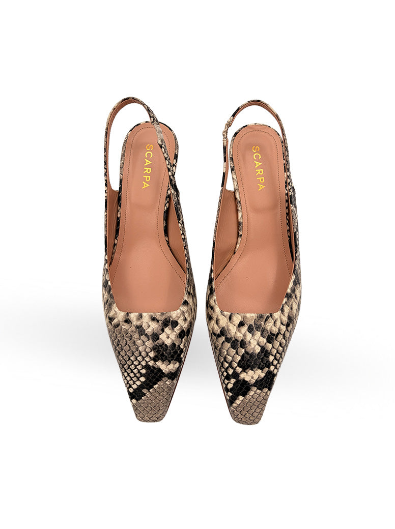 Marea taupe snake