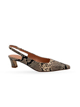Marea taupe snake