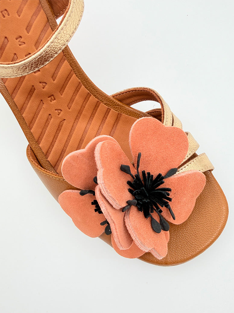 Parlota tan multi