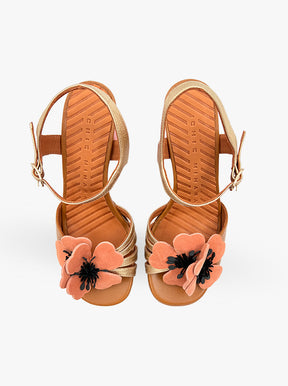 Parlota tan multi