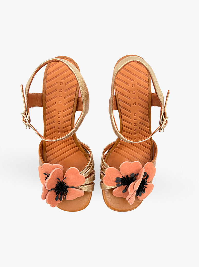 Parlota tan multi