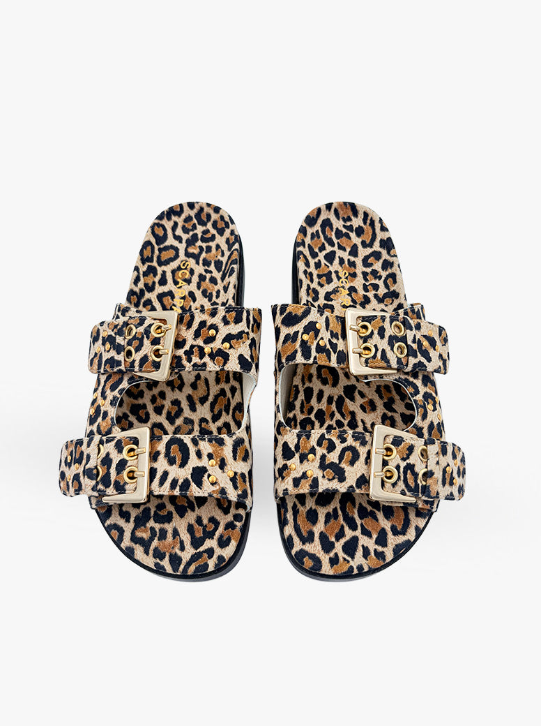 Paros leopard