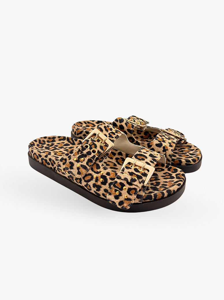 Paros leopard