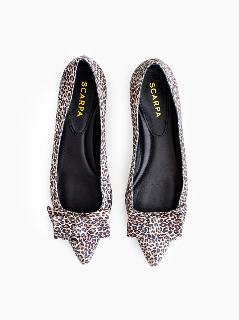 Roma leopard