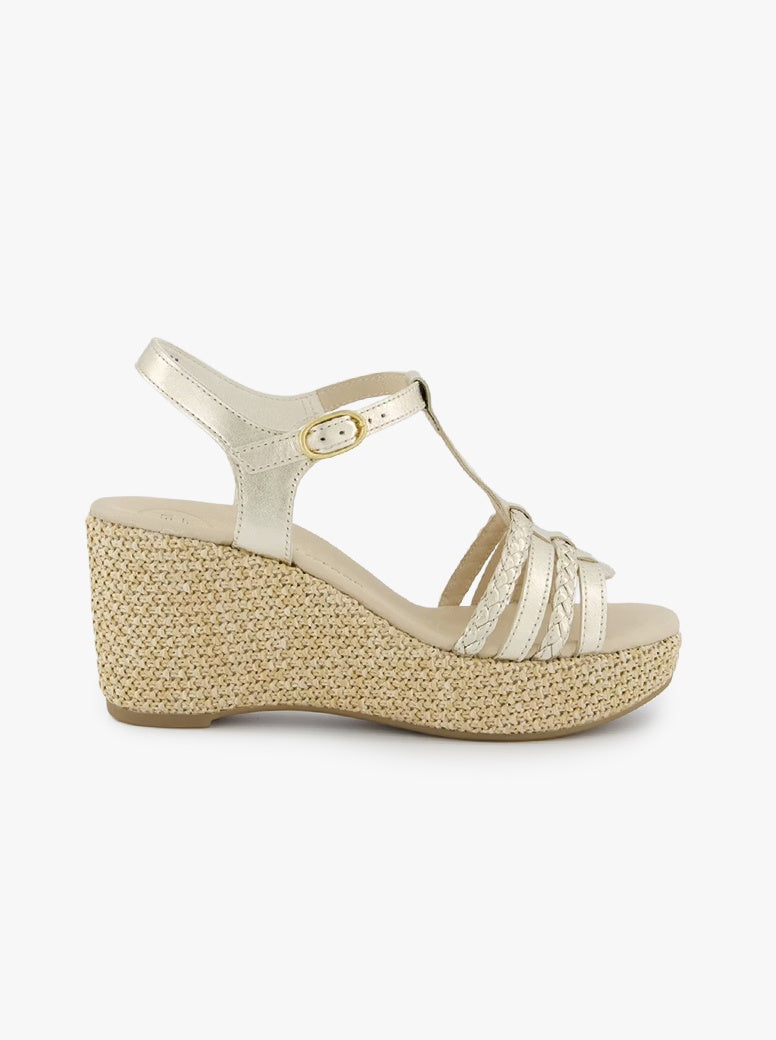 Rosalia gold
