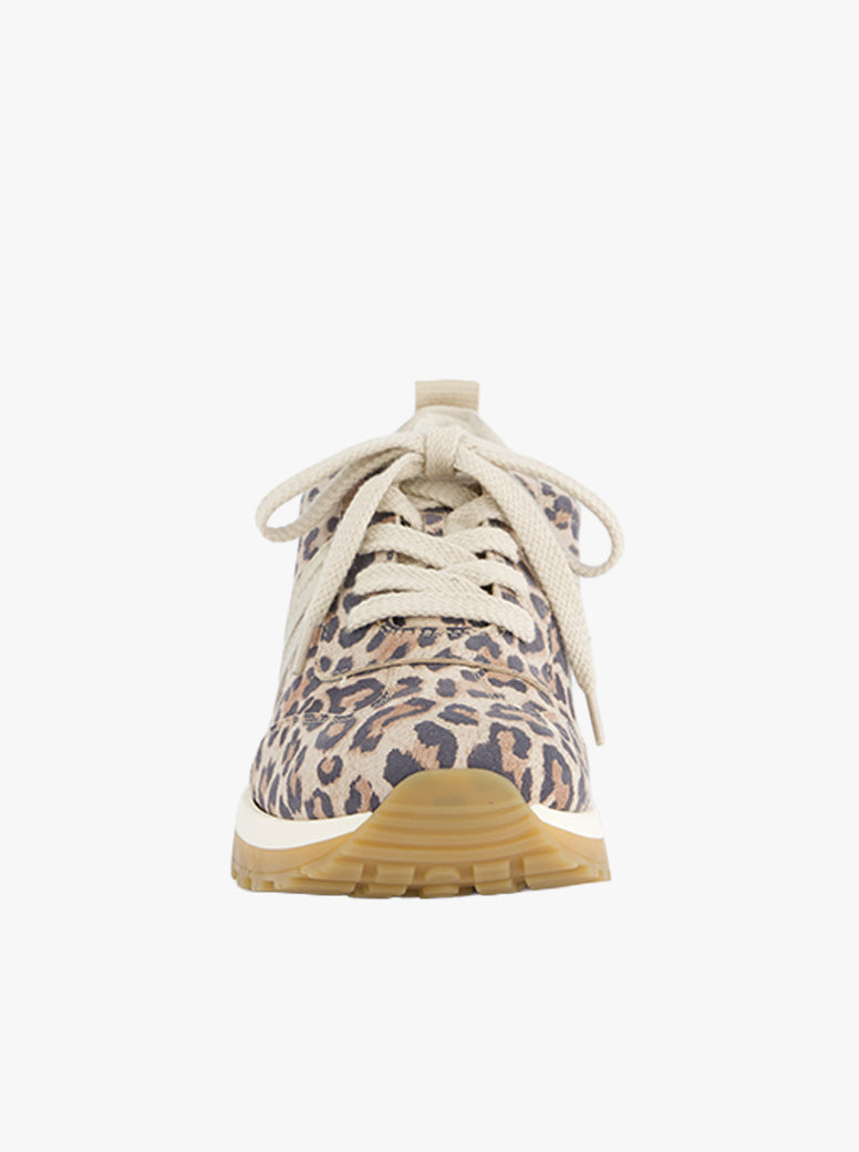 Sasha leopard