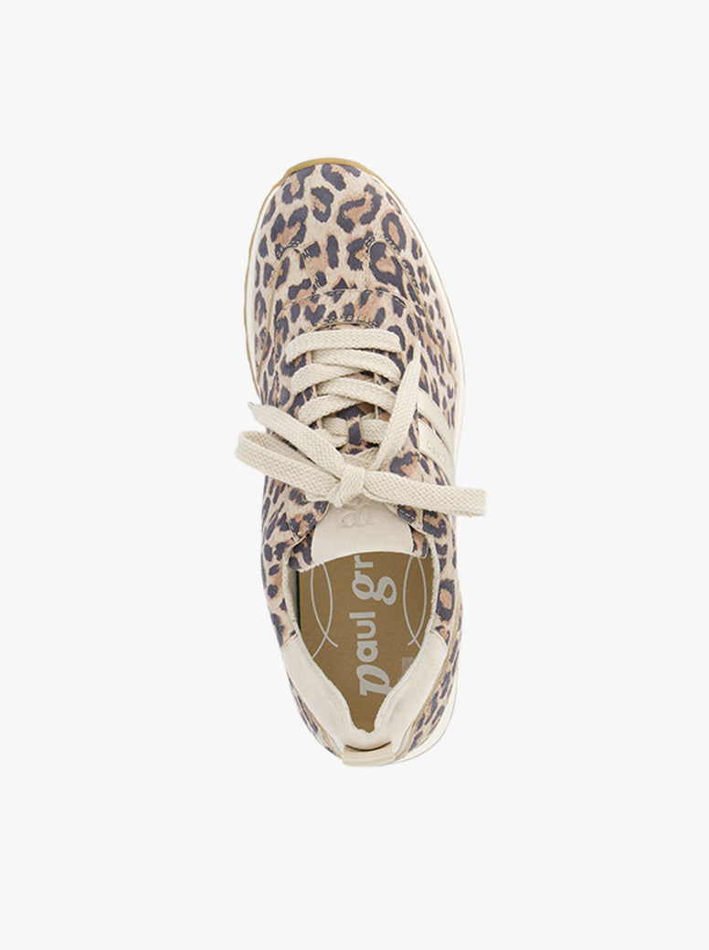 Sasha leopard