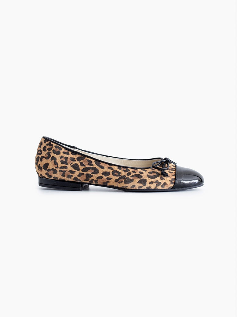 Siena leopard