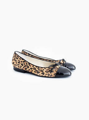 Siena leopard