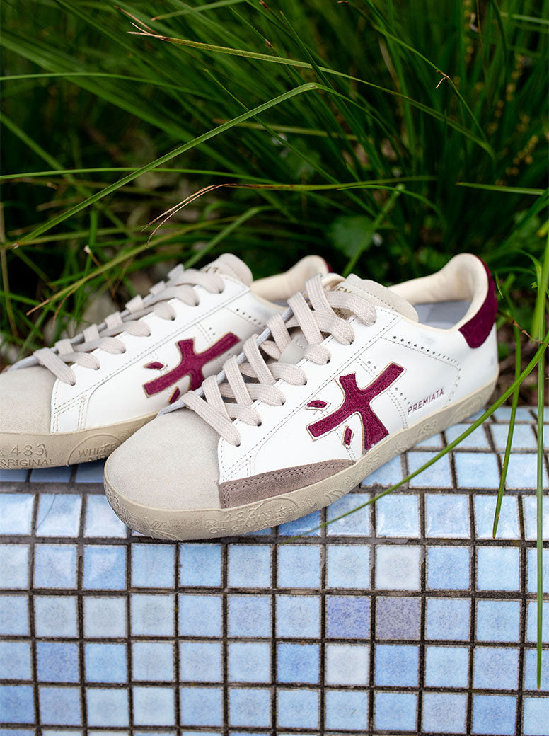 Steven white / burgundy