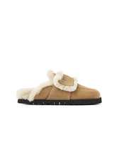 Teddy Furry oak suede